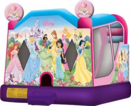 Disney Princesses New Extra Large 4 in 1 Wet/Dry Combo