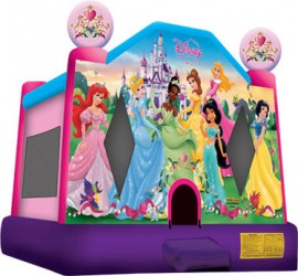 Disney Princesses Jumper (New)