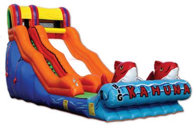 Slide | Water Slide | Party Rentals CA | Party Rentals Los Angeles | Party Rentals Southern California