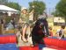 Mechanical Bull